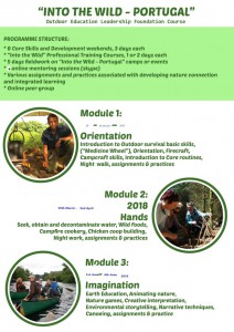 Into the wild- flyer